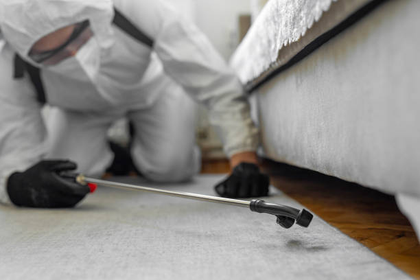 Professional Emergency Pest Control technician working in Port St. Lucie, FL