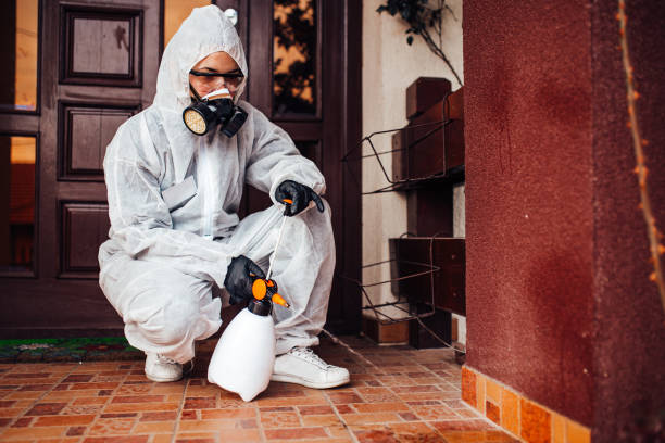 Reliable Emergency Pest Control contractor in Port St. Lucie, FL by Nex Pest Control