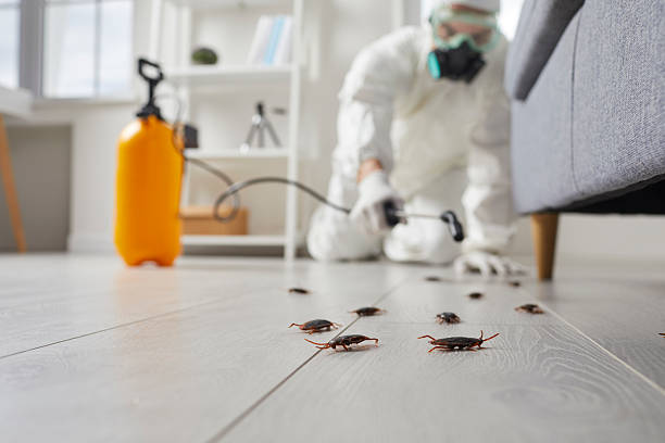Trusted Rodent Control service in Port St. Lucie, FL - Nex Pest Control