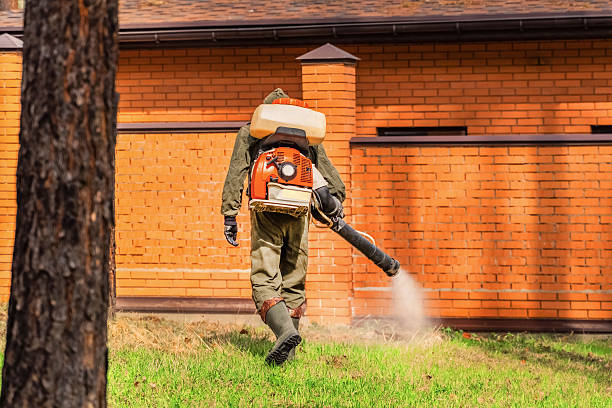 Trusted Emergency Pest Control service in Port St. Lucie, FL - Nex Pest Control
